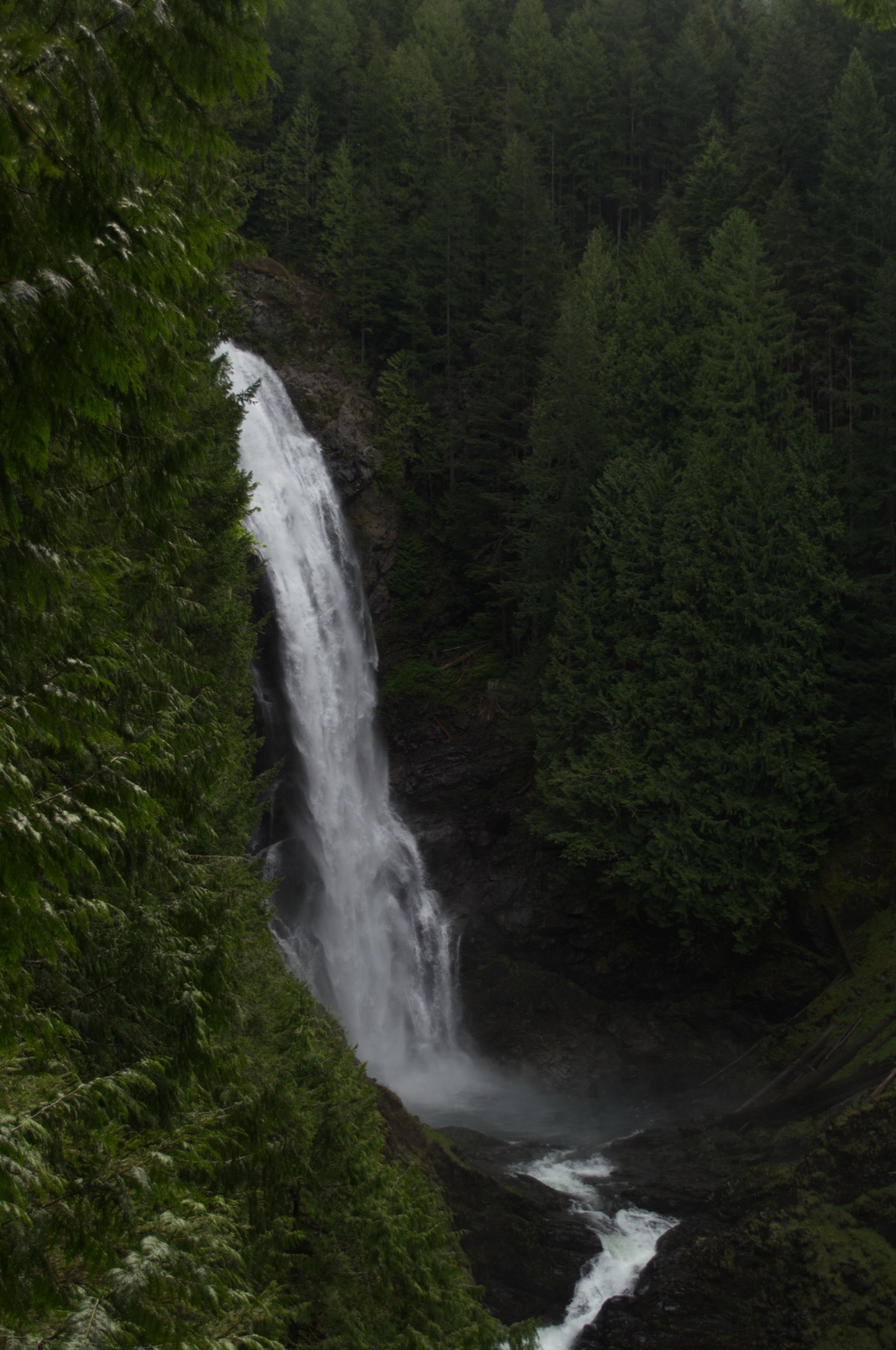 Wallace Falls cascading through the forest